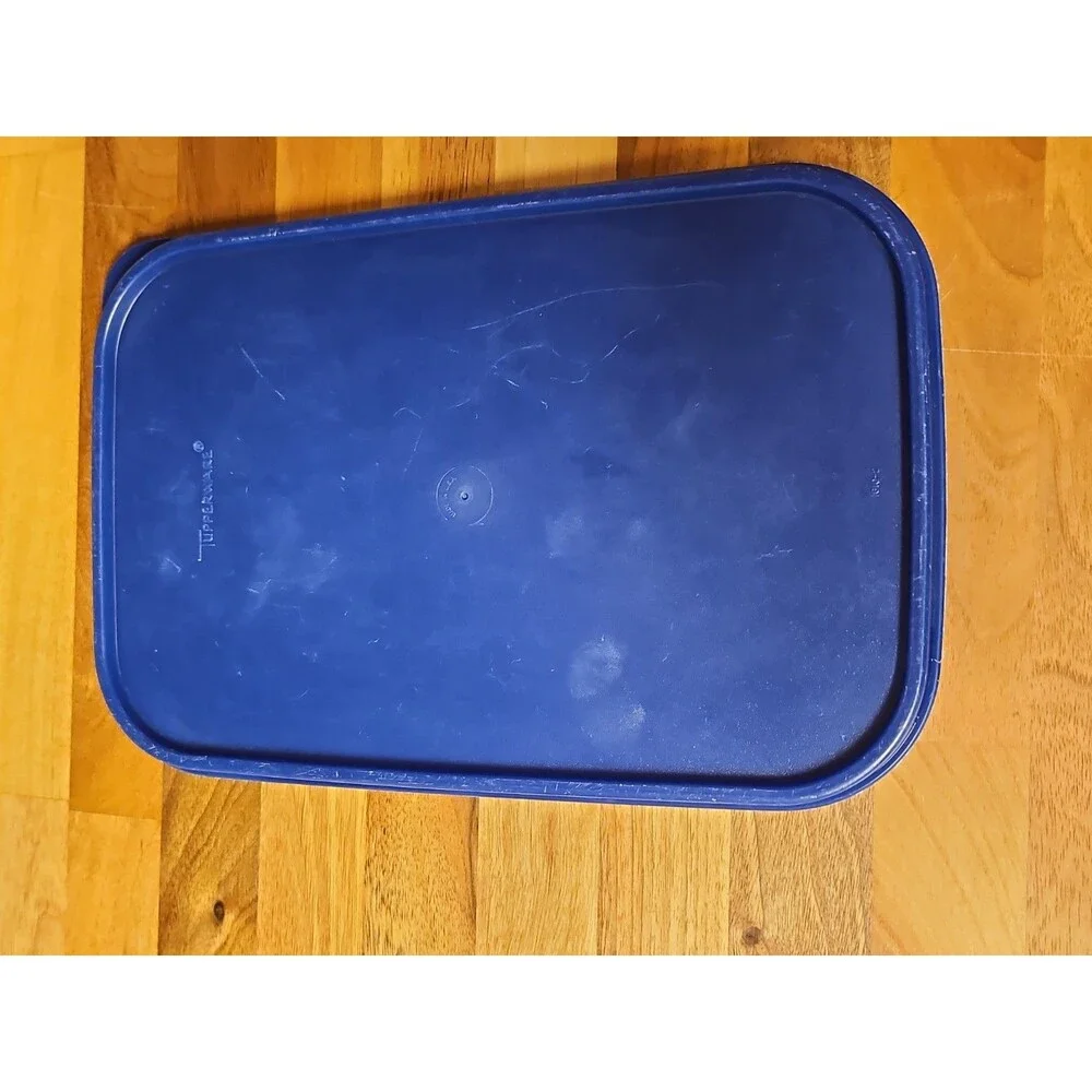 Tupperware Modular Mates #2 Container #1609 w/ Blue Lid #1610, 18 Cup, 4.3 Litre